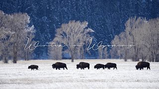 Acoustic Indie/Folk Playlist, Chill Music "Winter in Wyoming" Open Road Folk Music