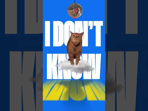 I Go Meow | Cat Meme