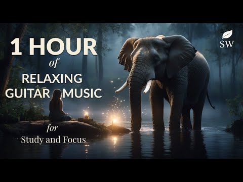 🐘  1 HOUR of Soft Acoustic Guitar Music and Ambient birdsong and Flowing Stream! 🎸🌙