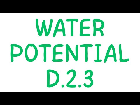 IB Biology- Water Potential D.2.3 Explained