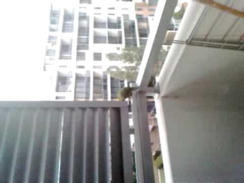Outside my window