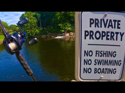 Fishing In South Florida Is INSANE!!!