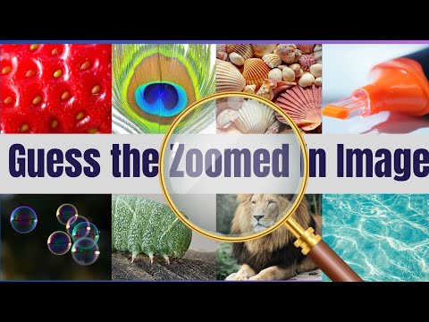 Guess The Zoomed In Images | Can you guess the Zoomed In Pictures? | Part 1