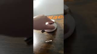 #reptile #pets #petanimals #animal #ballpython #youtubeshorts #python #reels #animal #reels #funny