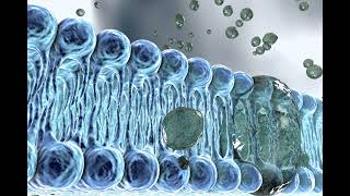The Innovative Cellular Engineering That Keeps Us Alive