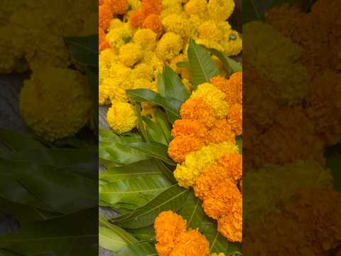 శ్రీ విశ్వావసు నామ సంవత్సర ఉగాది శుభాకాంక్షలు | Happy Ugadi | #ugadi #sivalakshmi_vlogs