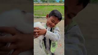 Saved Kitten 🐈‍⬛😫 #shorts #bnkimasti #trending