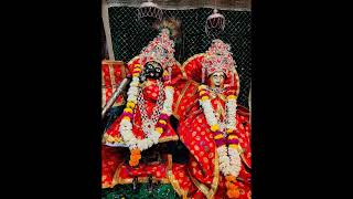 Daily Darshan of Thakur Ji | A Peaceful Spiritual Experience #VirtualDarshan  #ThakurJiDarshan