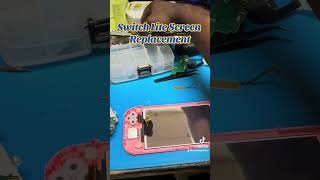 Nintendo Switch Lite Screen Replacement
