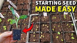 This Method Makes SEED STARTING For Beginners EASY!