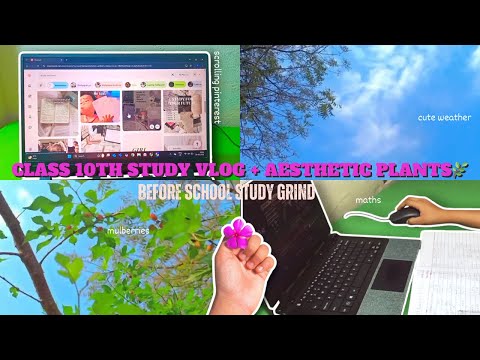 💌 Morning to Night Study Routine | Class 10 Study Vlog 📚 CBSE  + Study Motivation 🎀
