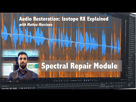 Izotope RX (2): Spectral Repair Module