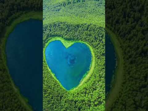 tag your Love #status #shorts