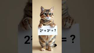 2² + 3² = ? — Comment Your Answer! 🧠🐱✏️ #QuizCat #MeowVerse #MathPuzzle #SmartPets #CommentChallenge