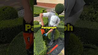 My Boss Said "We Own Your Code, Sweetheart" The New CTO Laughed, Firing Me #shorts #redditstories