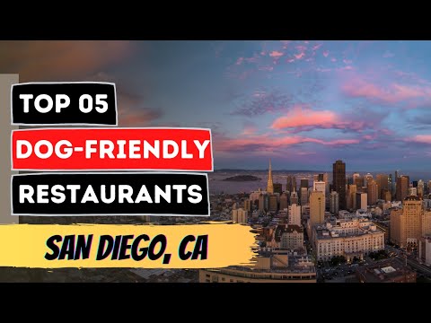 Top 5 Dog-Friendly Restaurants in San Diego