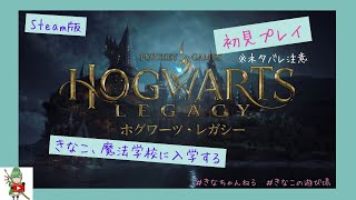 【Steam版　ホグワーツレガシー】※ネタバレ注意　＃１　初見プレイ！きなこ魔法学校に入学します。応援待ってます！