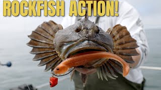Rockfish & Lingcod on Jigs and Swimbaits! | Northern California Coast