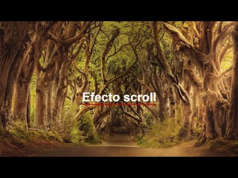 Speedcode efecto scroll | HTML y CSS