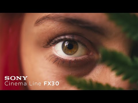Peaceful | Sony FX30 & Sigma 18-35mm f1.8 & Atomos Ninja V | 4K Cinematic Video