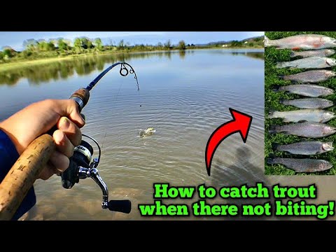 This easy trick instantly caught us tons of trout! Pa trout fishing!