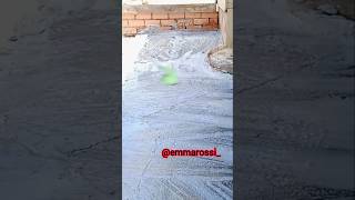 CONCRETE, FOAM  THE MAGIC OF CLEANING#youtube#youtubeshorts#cleaning#concerte#satisfying #asmr#foam