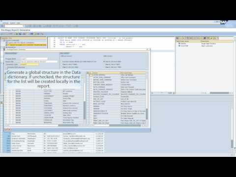 Hovitaga Report Generator for SAP - Overview