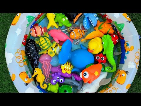 Learn Sea Animal Names and Facts with Fun Toys | Fun Facts Ocean Animal Toys for Toddlers