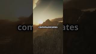 The Science Behind Your Gut Feeling! 🤔💭 #GutFeeling #SecondBrain #GutHealth #MindAndBody