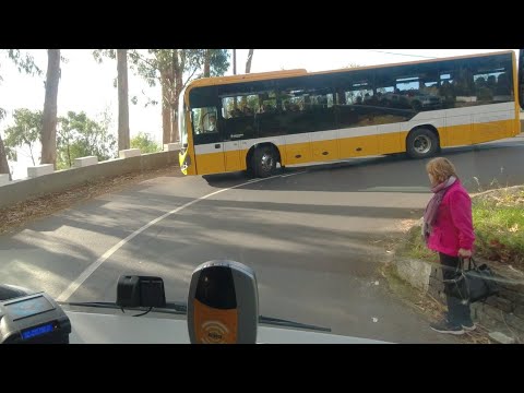 Madeira Funchal to Eira do Serrado Bus 81