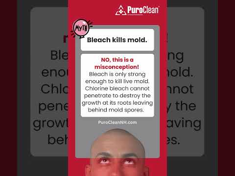 MYTH: Bleach does not kill mold !