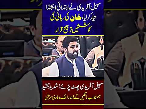 Sohail Afridi 😎😍 #pti  #imrankhan  #sohailafridi  #ptilovers