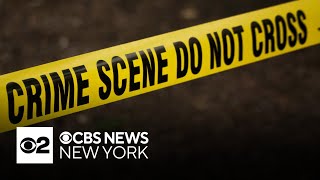 Law enforcement contributor helps make sense of latest NYC crime statistics