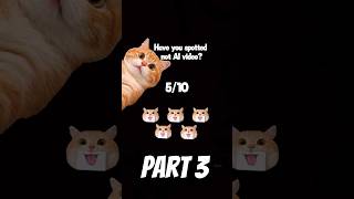 CHECK your AI detector part3 #catvideos