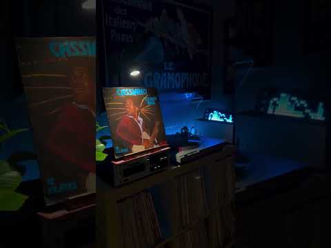 Watch the Music Come to Life in the Dark 🎶Credits: Ig - dubl.wax