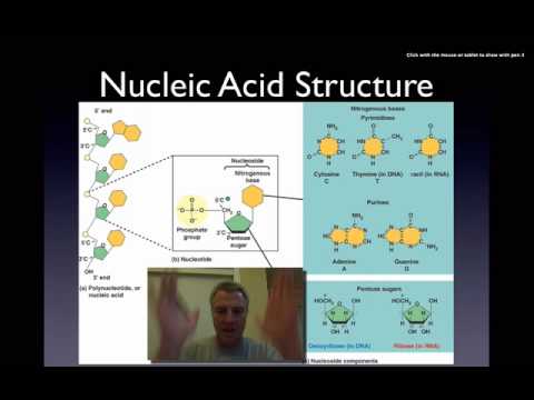 Macromolecules part III