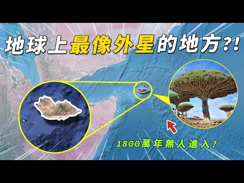 與大陸隔絕1800萬年，為什麼索科特拉島是世界上最像外星的地方，沒有一條河卻養育4000種特有生物？#有點東西 #索科特拉島 #科普