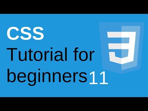 CSS Tutorial for Beginners Part 11 - CSS Outline | Learn Web Technologies