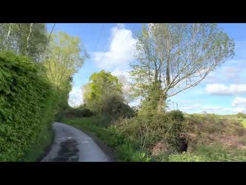 POV trail run through South Downs Forrests. For treadmill