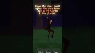 How the deer feels 🥰