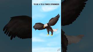 Fact about eagle... @Flutter2023