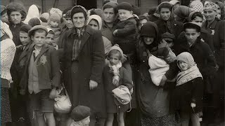 The Auschwitz Album- Visual Evidence of the Process Leading to the Mass Murder at Auschwitz-Birkenau