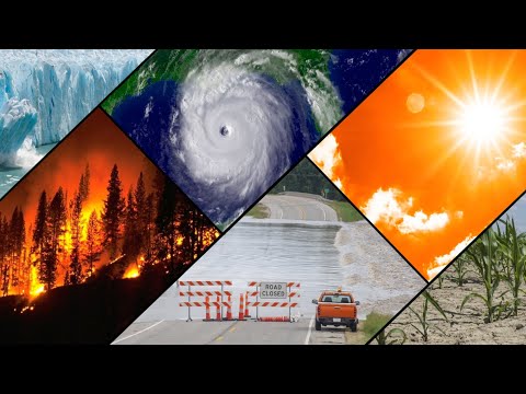 Global Warming hauls ecosystem                               #climatechange #globalwarming #top