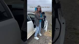 THE RULES YOU MUST FOLLOW WHILE DRIVING IN ICELAND 🚗 #icelandtravel #travel #nomadic