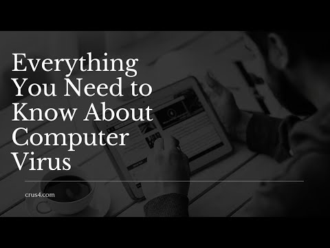 Computer Virus, It's Types, Prevention and more | crus4.com