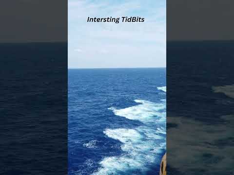 Cruising TidBits 🛳️🛳️