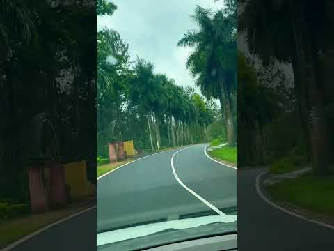 Driving in Coorg🧣 Maruti Suzuki Ertiga Driving Status