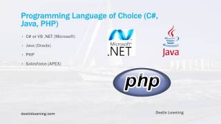 What Concepts Do I Need to Master to Become a Programmer?