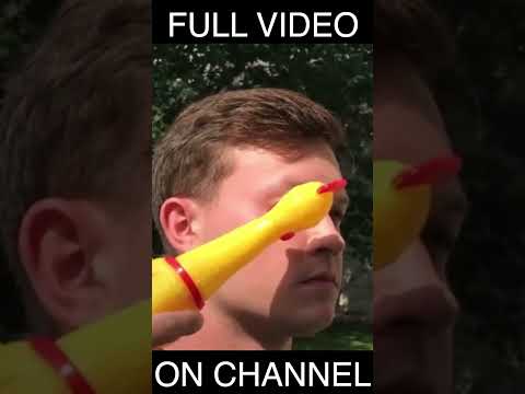 Try Not to Laugh Police Chicken Challenge #funny #trynottolaugh #rubberchicken #shorts #funnyvideos
