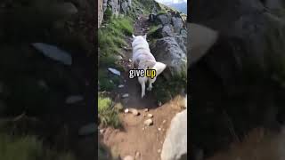 Your brain releases dopamine before you achieve a goal #TinyStepsBigImpact